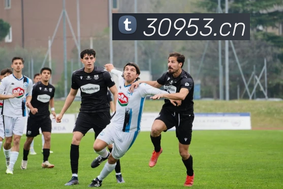 mksport体育app官网入口平台生态图